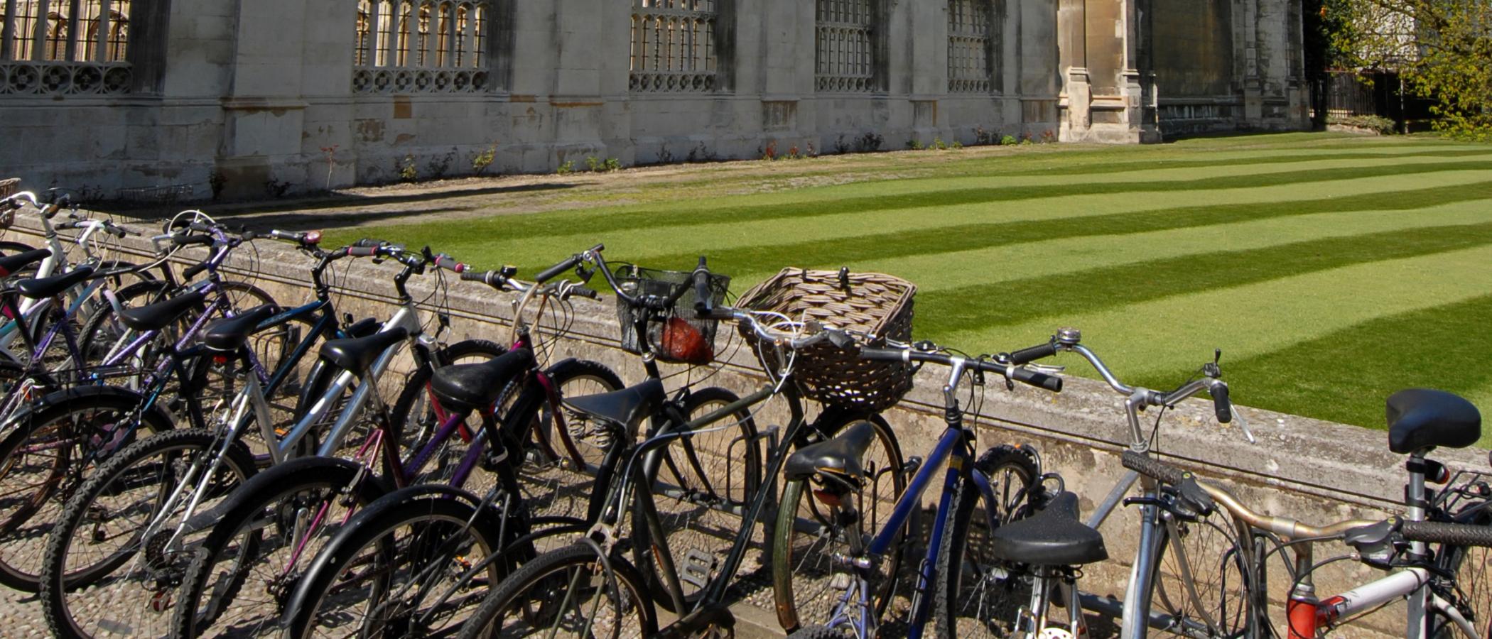 Oxbridge Preparation Programme